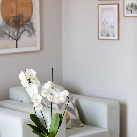 Plaka Modern Appartement